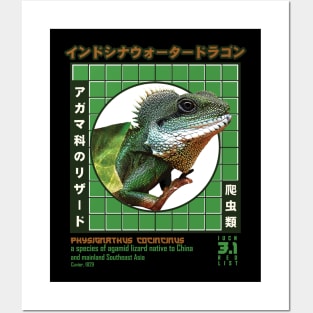 Reptile lover vintage japanese style Posters and Art